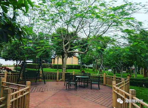 琼山民宿 琼山这6条乡村游几十个景点,你去过几个