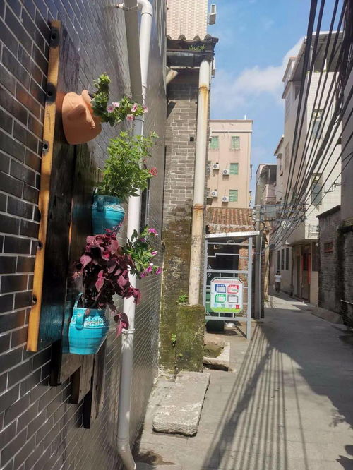 留住乡韵 记住乡愁丨钟四村 岭南精粹，宗祠新韵